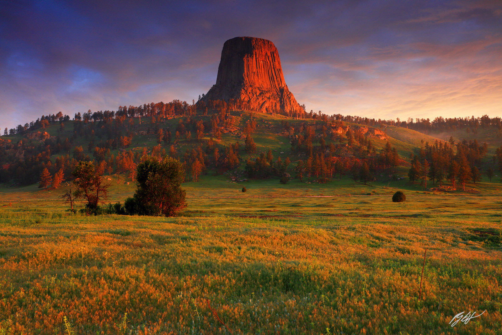 High-desert Great Basin landscape at first light — Montgomery Pass Wild Horse Territory, ancestral lands of the Utu Utu Gwaitu Paiute Tribe of the Benton Paiute Reservation.